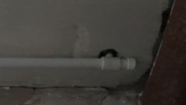 Отопление полипропиленом от А до Я смотреть онлайн