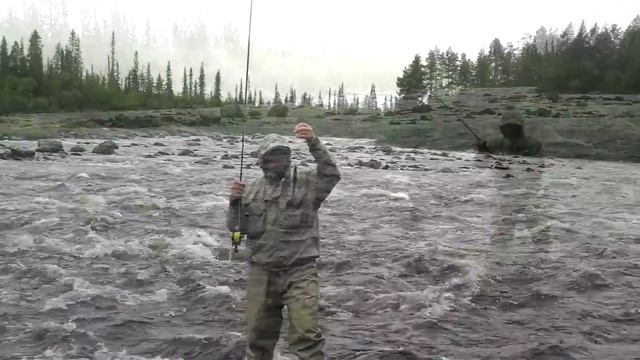 Рыбалка. Кольский. Река Печа смотреть онлайн