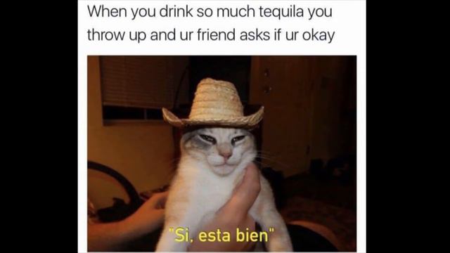 🍁 TOP 10 CANADIAN GROWTH Investments