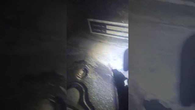 рыжики после зимы Джили ск смотреть онлайн