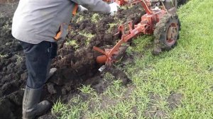 Конный оборотный плуг. Пашем  мотор сич 29.03.20