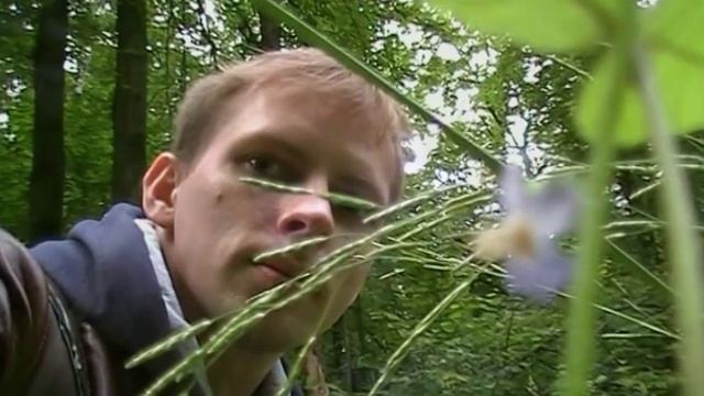 Прогулки по ближнему Подмосковью. Окрестности села Булатниково и посёлок Расторгуево смотреть онлайн
