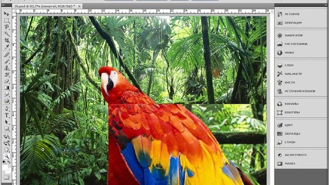 Мультимедийная школа Adobe Photoshop Урок №29 Размытие и резкость, осветление и затемнение смотреть онлайн