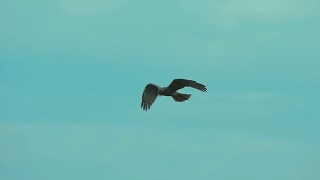 Вика Цыганова. Огонь перемен. смотреть онлайн