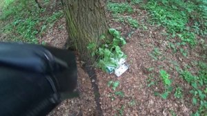 Муравьиная ферма КОНЕЦ