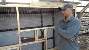 Уличный вольер для попугаев часть-3