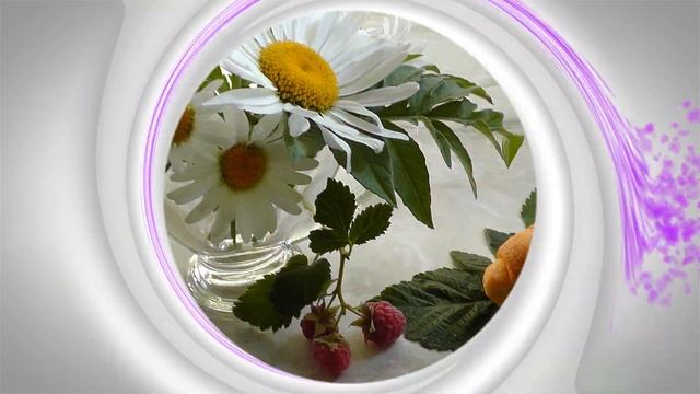 Музыкальное утреннее приветствие. Желаю доброго утра и хорошего дня. Утренние пожелания в стихах смотреть онлайн