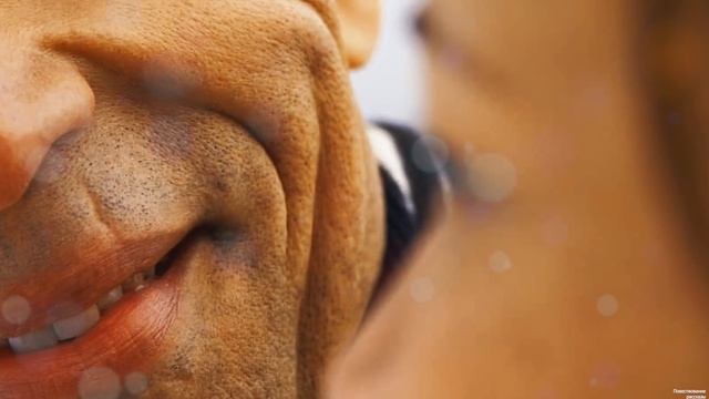 К старушке на помощь пришел только бомж, не подозревая что ее спасение перевернет ему жизнь… смотреть онлайн