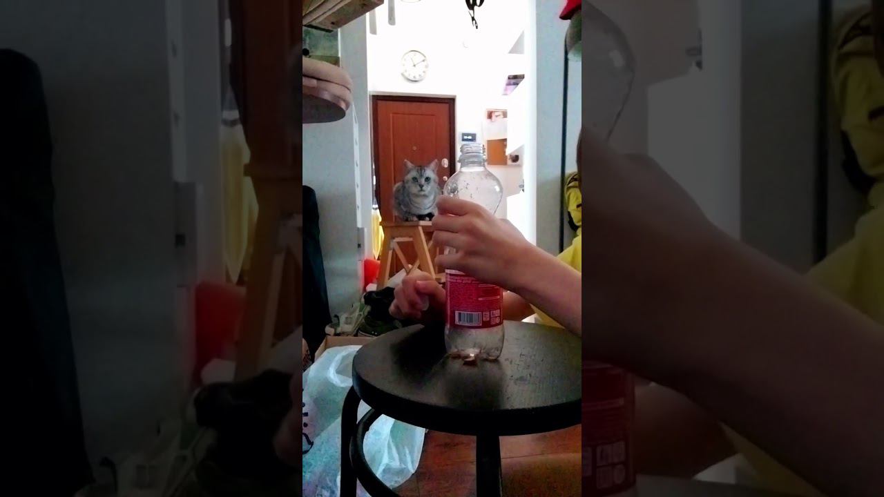 то самое чуство !!! |: #shorts смотреть онлайн