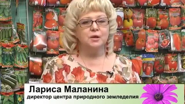 Природное земледелие на садовом участке практика. 29 01 2015 смотреть онлайн