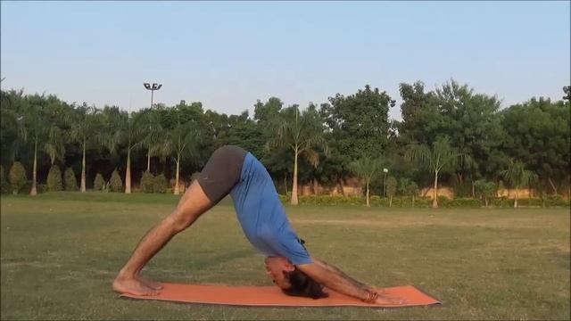 Adho Mukha Svanasana | Downward Facing Dog Pose | 2 Minutes Full Body Stretch Yoga Health смотреть онлайн