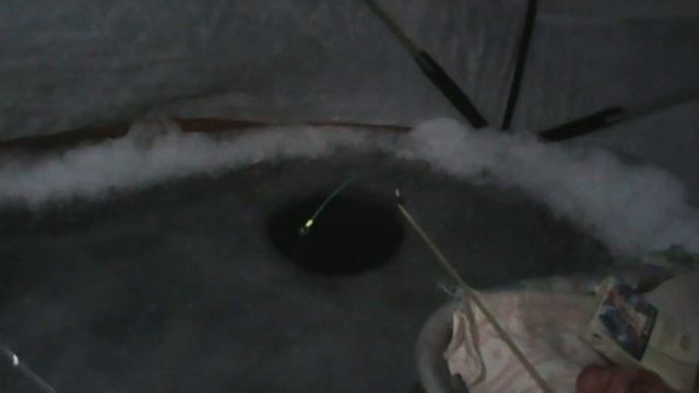 Рыбалка на маныче Большая Садковская январь 2024г на крещение! видео №125 #рыбалка #рыбалканаманыче смотреть онлайн