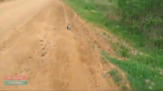 Необычные случаи на охоте! Нападение Зверей на Охотников смотреть онлайн