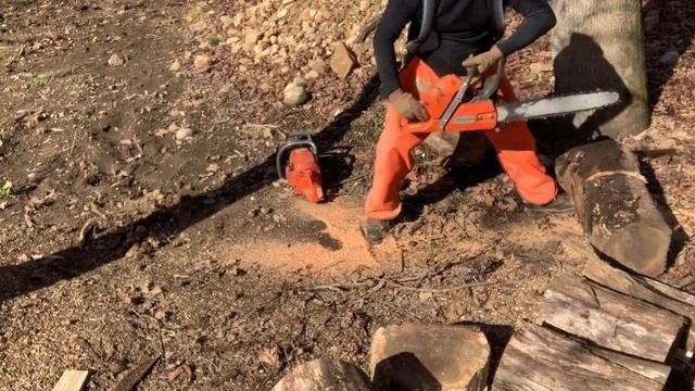 #51 Husqvarna 365 to the Rescue on Firewood Production смотреть онлайн