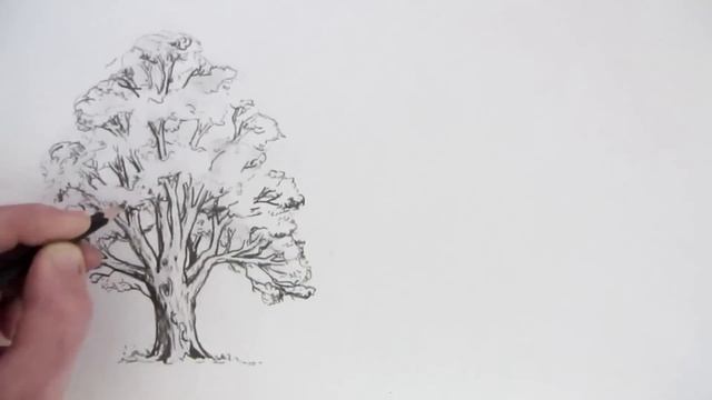 How to Draw Trees смотреть онлайн