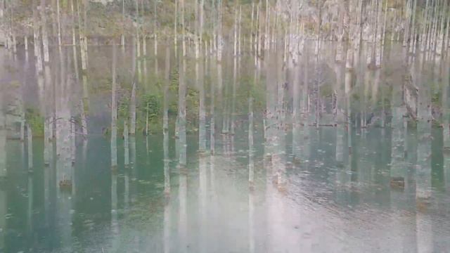 15_Высокогорные озёра Кольсай и Каинды, Восточный Казахстан смотреть онлайн