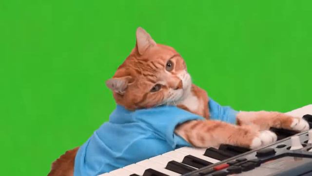 хромокей мем кот на пианино смотреть онлайн