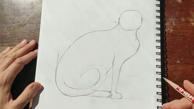 Как нарисовать кошку сфинкса в карандаше? смотреть онлайн