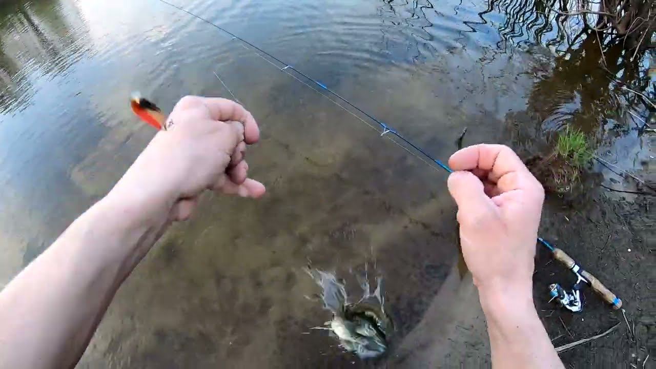 Самая уловистая блесна на щуку смотреть онлайн