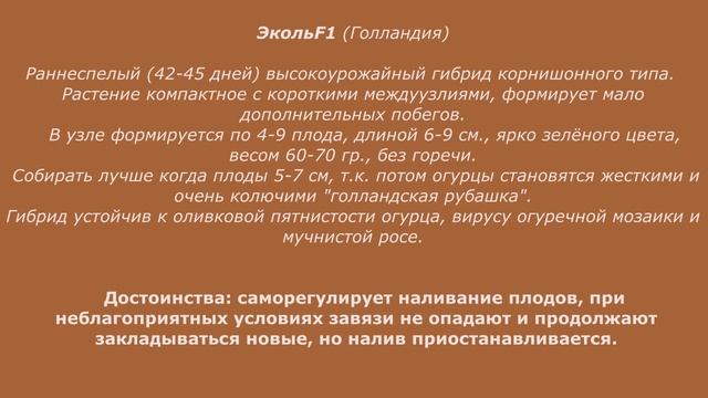 Мои растишки / Семена огурцов/ Урожайные сорта огурцов смотреть онлайн