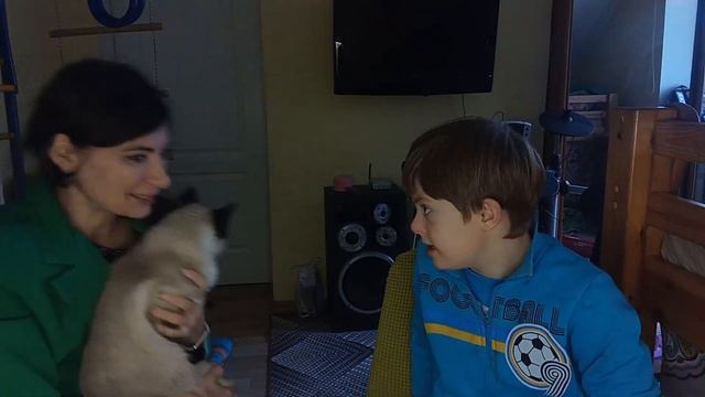 картинка. Тетя у которой кошка на голове. вопросы смотреть онлайн