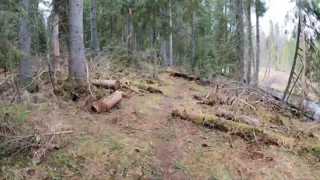 Большая Валдайская тропа. Начало мая смотреть онлайн