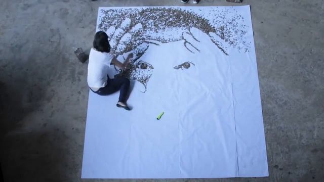 Картина из семечек смотреть онлайн
