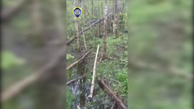 Дикий кабан напал на егеря. Мужчина погиб смотреть онлайн