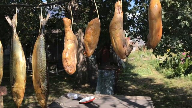 Коптильня холодного копчения, электростатика, таймер.