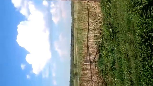 Чуртан Тюменская область