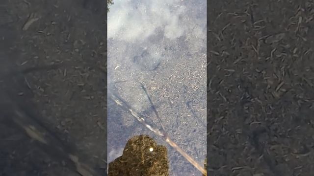 это просто чудо природы, подводные гейзеры смотреть онлайн