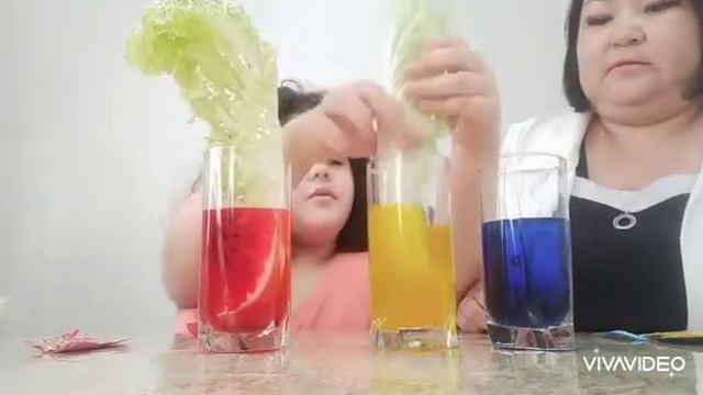 Эксперимент 3 "Д" класс обучающаяся на дому на тему: Движение воды по стеблю и листьям растений. смотреть онлайн