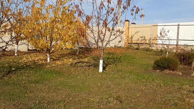 Обзор 1 ноября 2023) все цветет и пахнет))