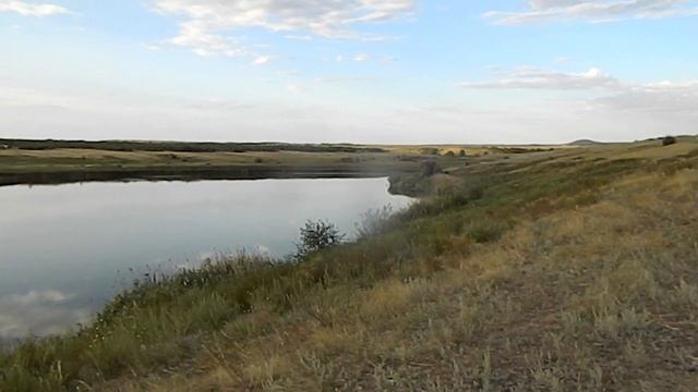 Липовский пруд смотреть онлайн