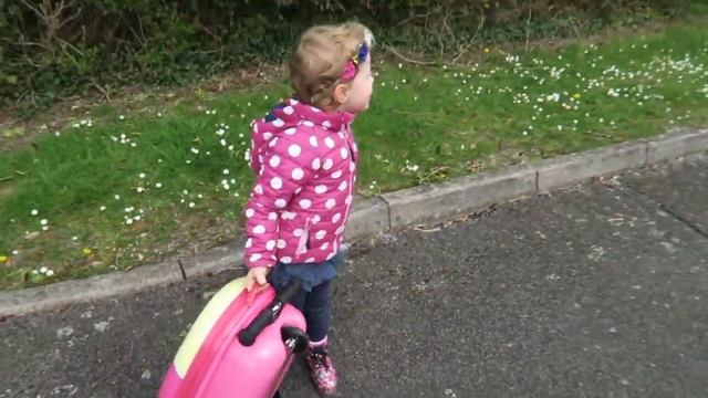 Чемодан самокат Zinc Owl Сова #review смотреть онлайн