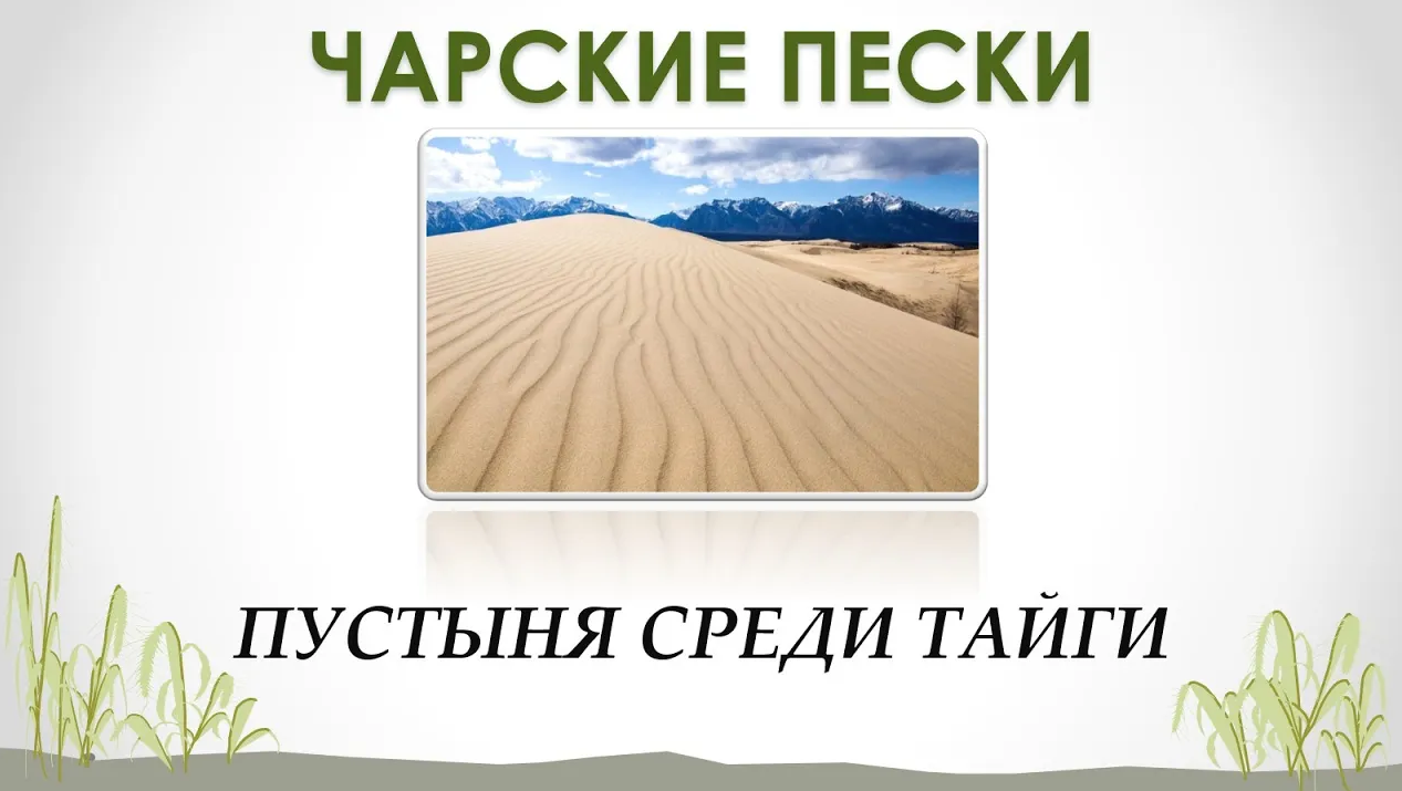 Пустыня среди Тайги