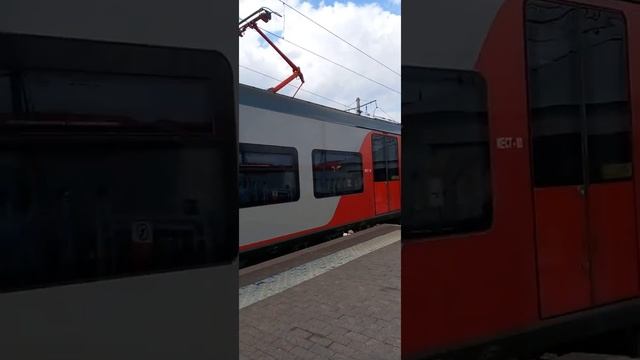 Электропоезд Ласточка с сообщением Выборг- Санкт-Петербург прибывает на Финляндский вокзал смотреть онлайн