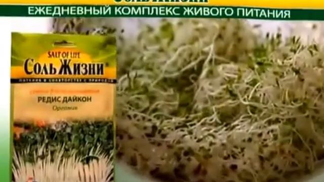 Семена для проращивания в пищу смотреть онлайн