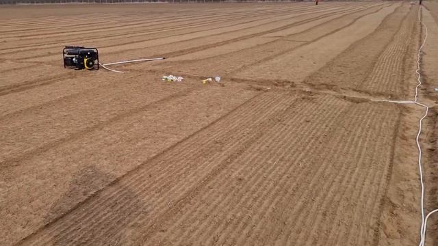 Посев редиса в грунт смотреть онлайн