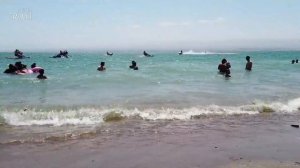 Таджикское море. Пляж. Кайраккум 2021. Sea, Kairakkum Beach 2021. Tajikistan.