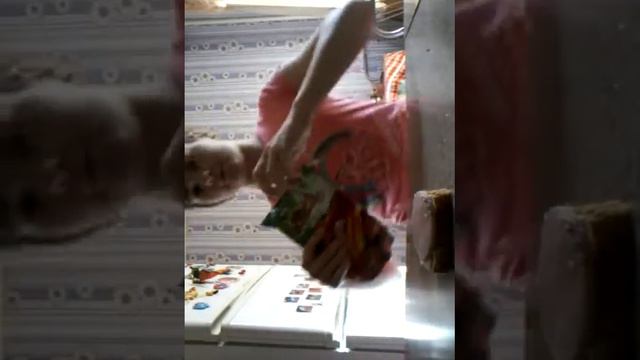 Victoria Cat/ЕдоVLOG//Какой бутер...Мм♥♥ смотреть онлайн