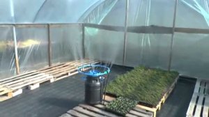 Туманообразующая установка для "зеленого черенкования"