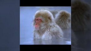 Трезвость это ваше нормальное состояние