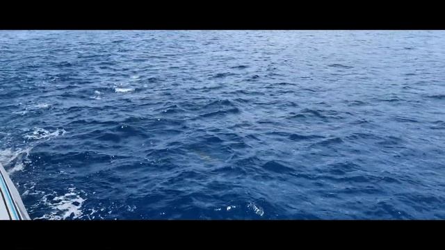 Поездка на Гавайи. Остров Мауи. смотреть онлайн