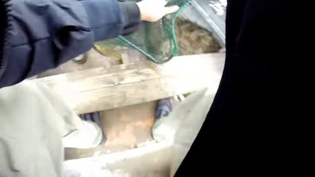 Карелия река Сопа смотреть онлайн