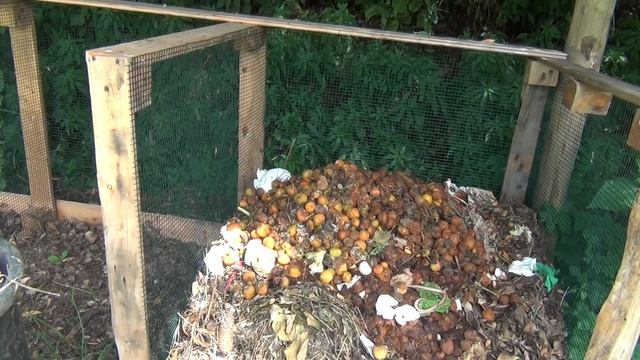 Reducing Compost Odors with Applied Microbiology смотреть онлайн