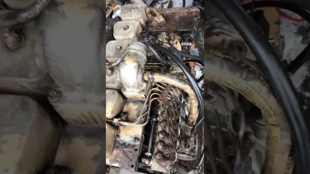 Двигатель CUMMINS 6BT смотреть онлайн