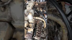 Двигатель CUMMINS 6BT