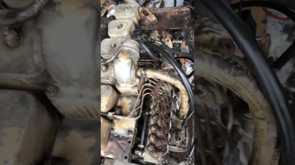 Двигатель CUMMINS 6BT