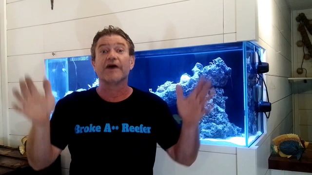 Secret to an outrageous saltwater reef aquarium смотреть онлайн